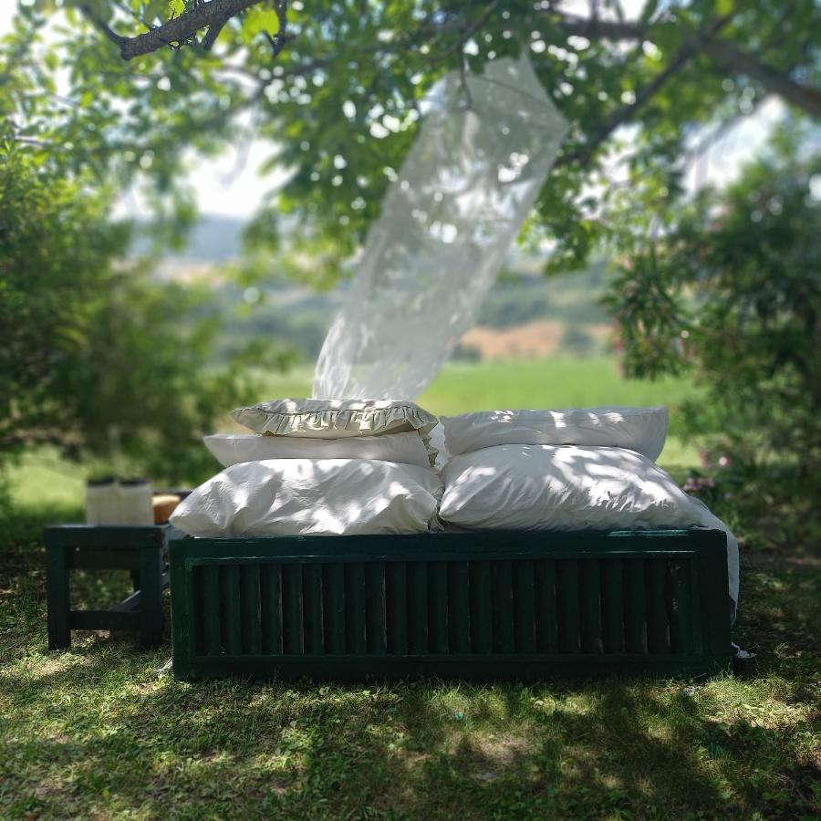 Le Bumbarelle Acomodação com café da manhã Tavoleto Exterior foto